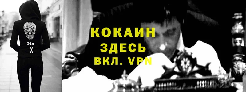 как найти   Морозовск  COCAIN Эквадор 